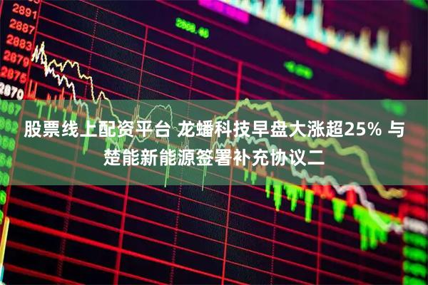 股票线上配资平台 龙蟠科技早盘大涨超25% 与楚能新能源签署补充协议二