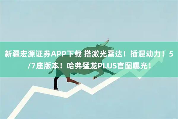新疆宏源证券APP下载 搭激光雷达！插混动力！5/7座版本！哈弗猛龙PLUS官图曝光！